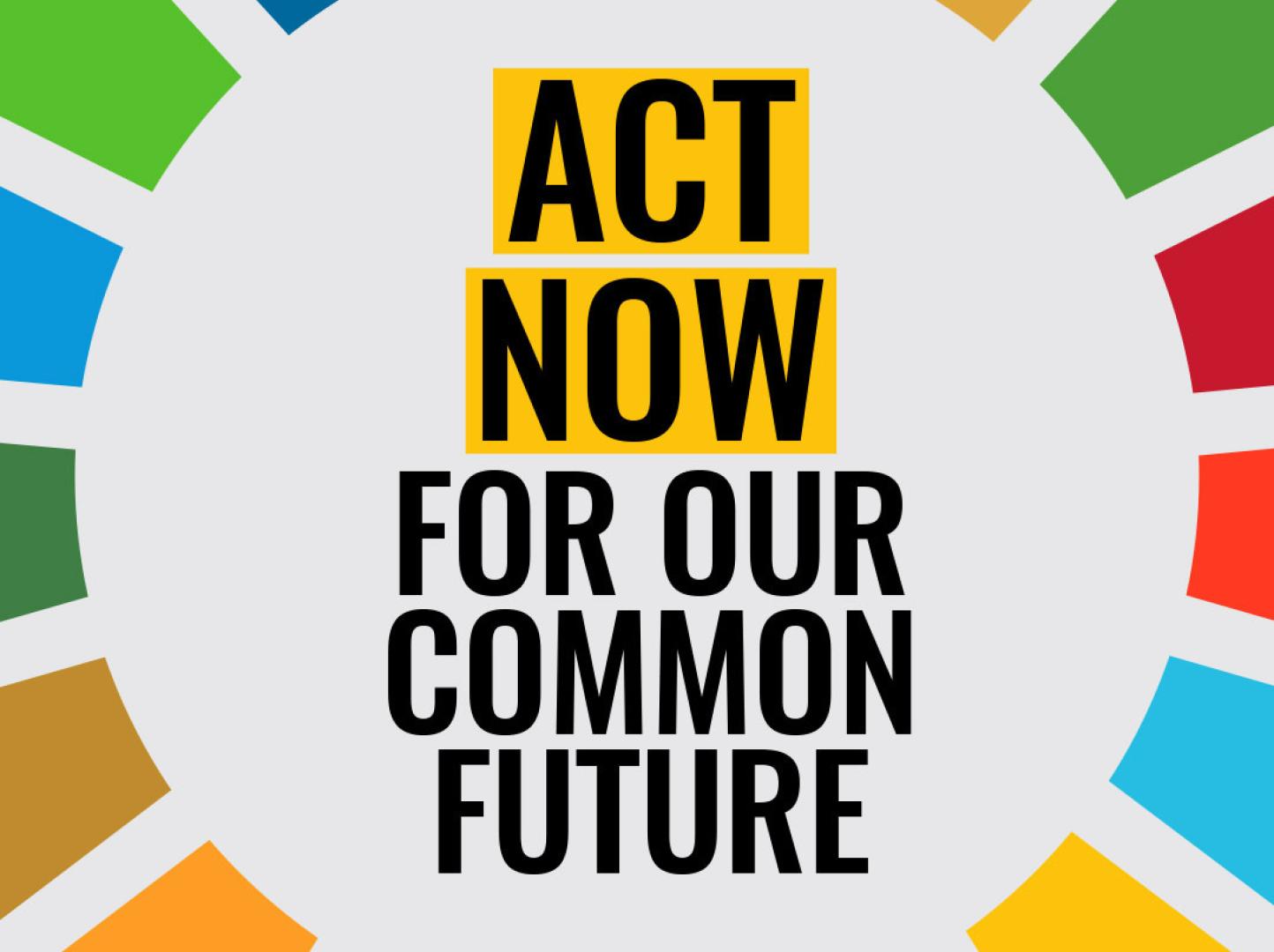 Graphic with the words Act Now For Our Common Future