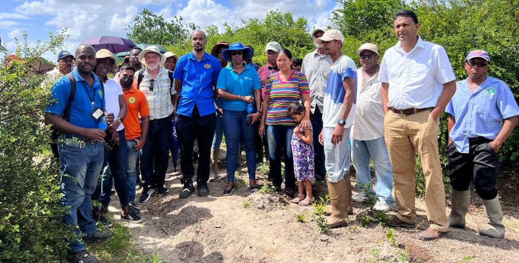 Farmers and producers during a field visit