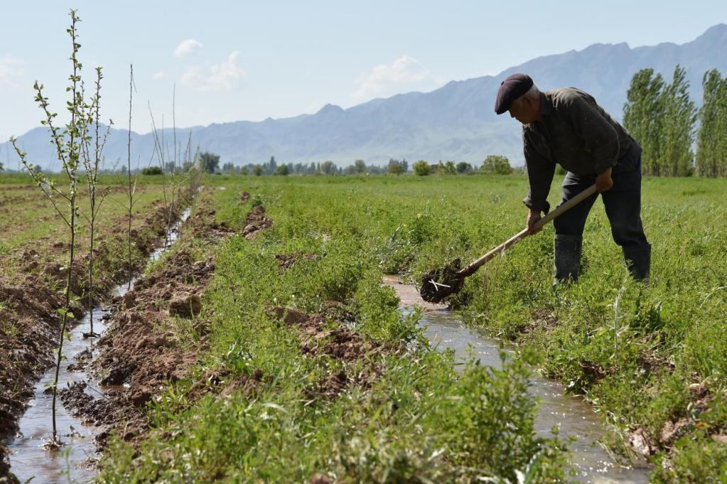 A man shoveling in a field.