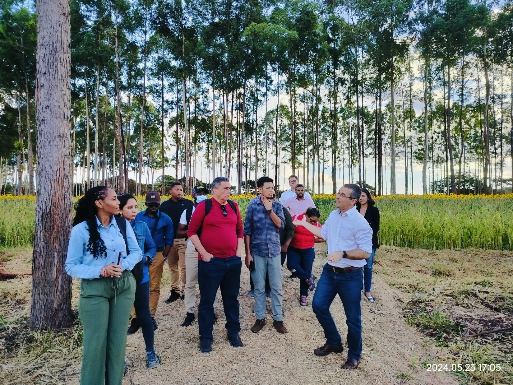 People standing in a forested area.
