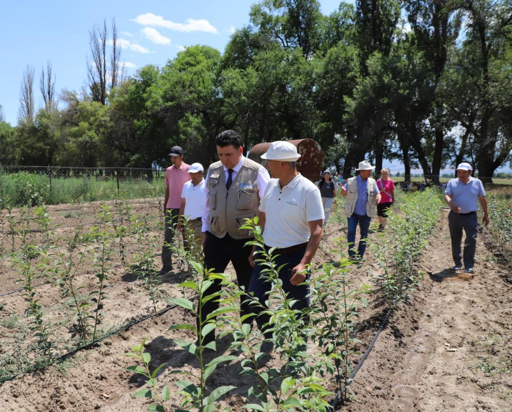People walking in a field.