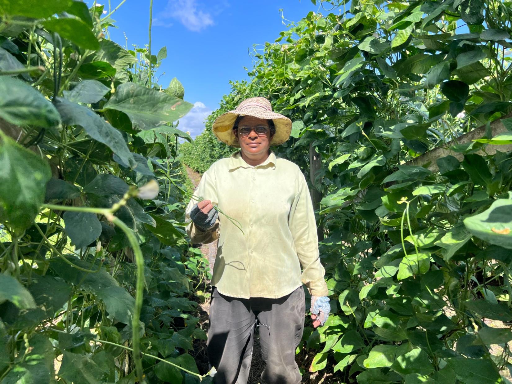 A woman standing in a field holding one of her plants.