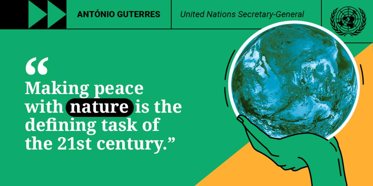 Graphic with a quote "Making peace with nature is the defining task of the 21st century"