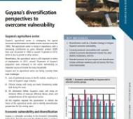 FAO policy analysis