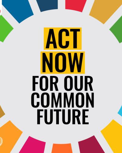 Graphic with the words Act Now For Our Common Future