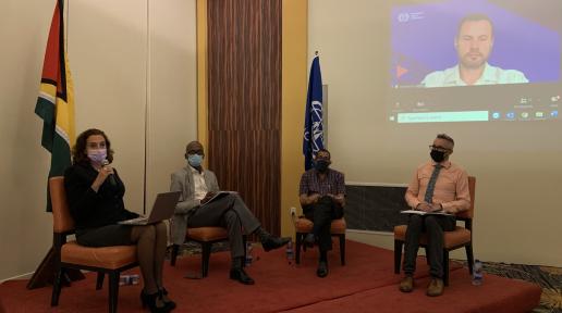 Panel discussion on the Guyana Labour Study