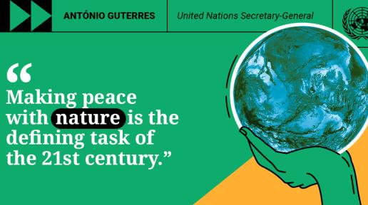 Graphic with a quote "Making peace with nature is the defining task of the 21st century"