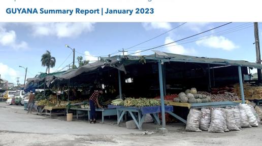 Report cover - Caribbean Food Security & Livelihoods Survey