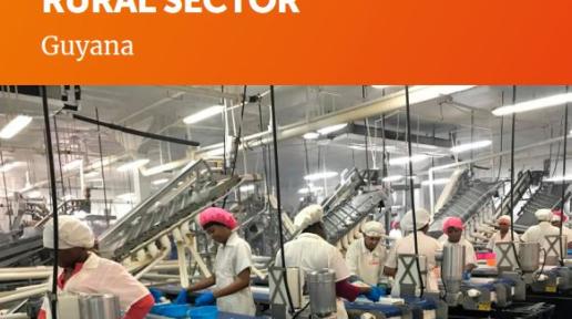 Cover of the Country Gender Assessment of the Agriculture and Rural Sector
