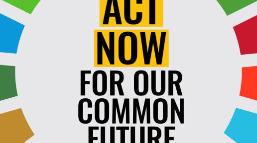 Graphic with the words Act Now For Our Common Future